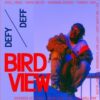 Defy Deff – Bird View
