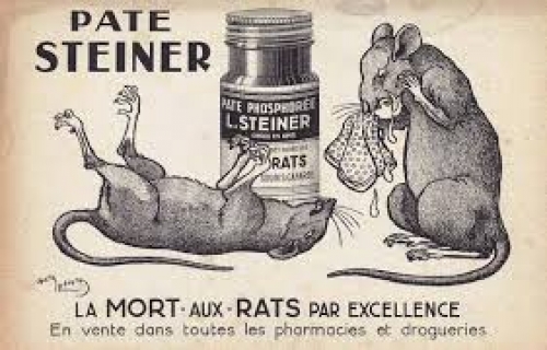 Namur promet la mort aux rats! 