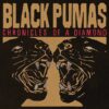 Black Pumas – Chronicles Of a Diamond