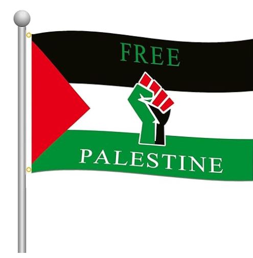 Contre la solidarité avec la Palestine, un maccarthysme à la française met en place