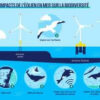 Un grand débat sur la mer et l’éolien en mer