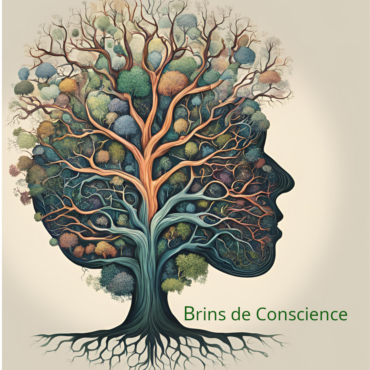 Brins de Conscience