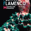 Festival de Flamenco de Montpellier Métropole