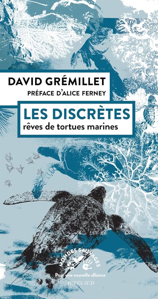 David Grémillet – Les discrètes. Rêves de tortues marines