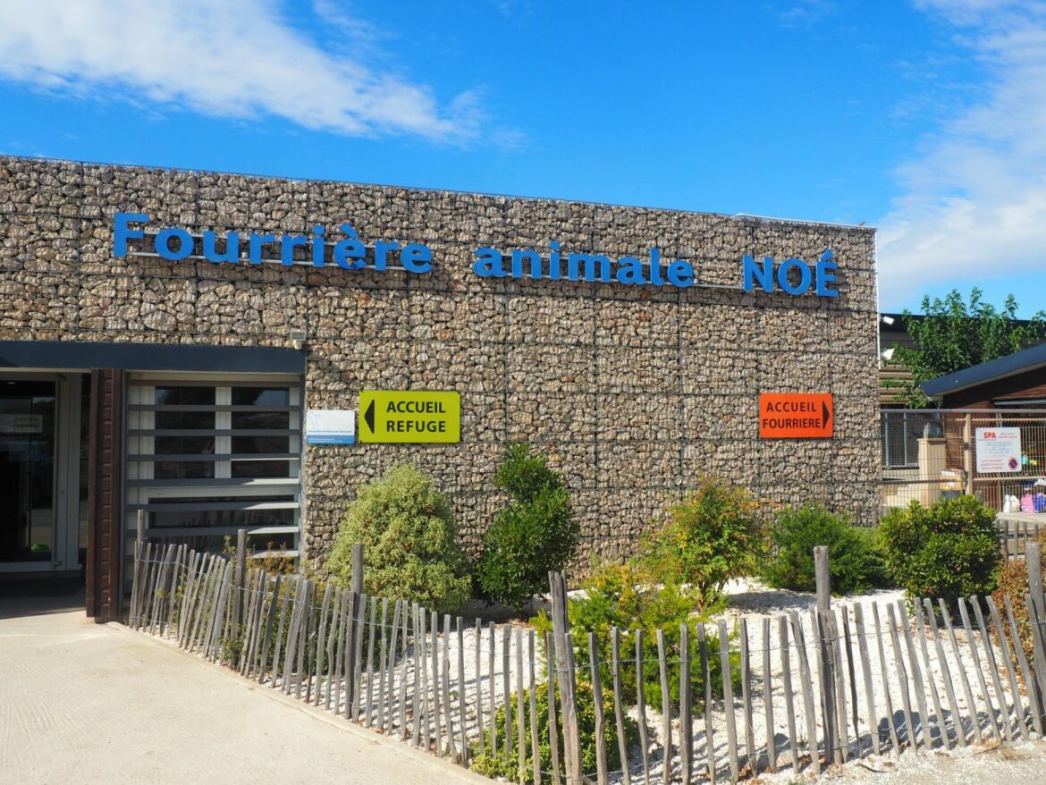 La SPA de Montpellier continue d’entretenir son réseau associatif pour défendre le bien-être animal