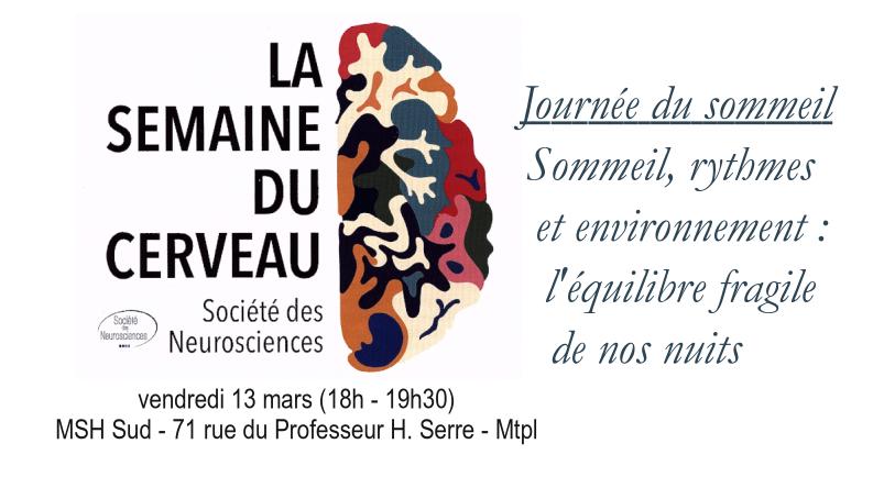 Semaine du cerveau – Sommeil, rythmes et environnement