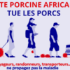 La peste porcine africaine (PPA)