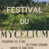 Festival du Mycélium : un évènement pour rassembler autour de la ferme urbaine collaborative l’Oasis Citadine