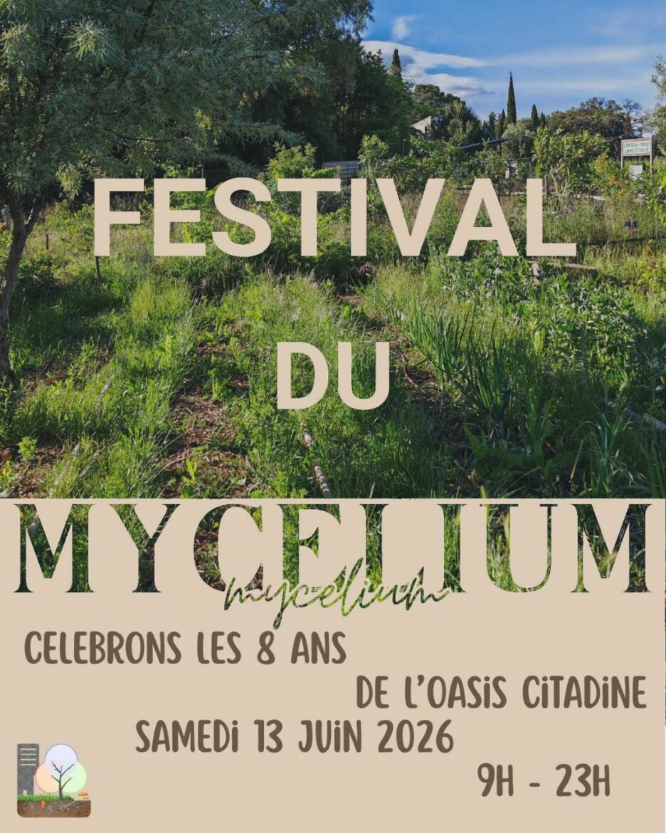 Festival du Mycélium : un évènement pour rassembler autour de la ferme urbaine collaborative l’Oasis Citadine