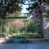 Le jardin des plantes comme vous ne l’avez jamais entendu !