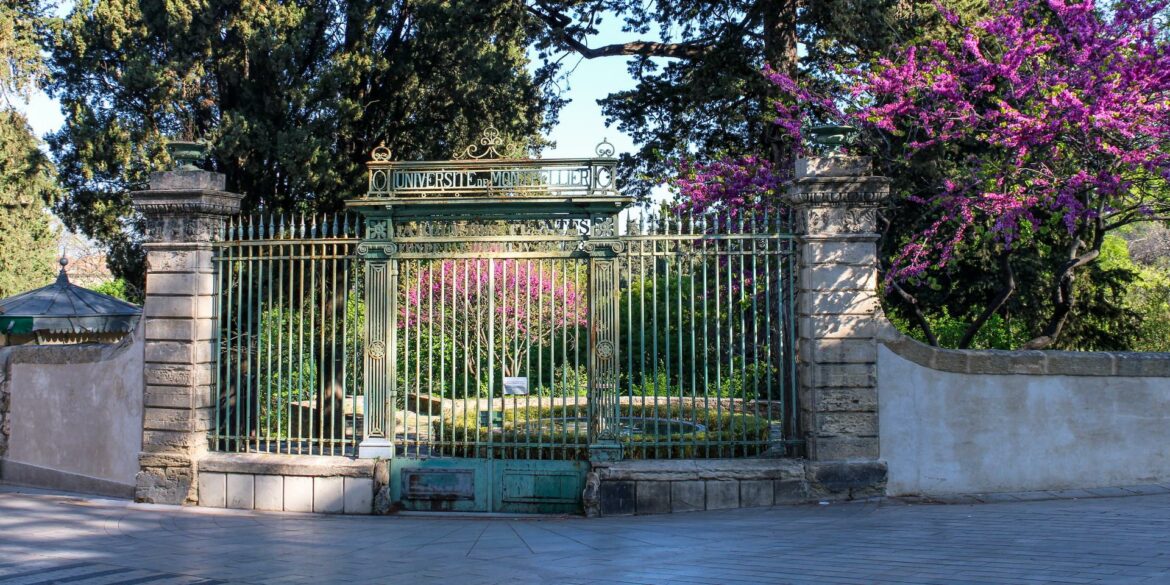 Le jardin des plantes comme vous ne l’avez jamais entendu !