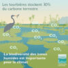 Bientôt la COP biodiversité, le député Jean-Louis Roumégas était notre invité